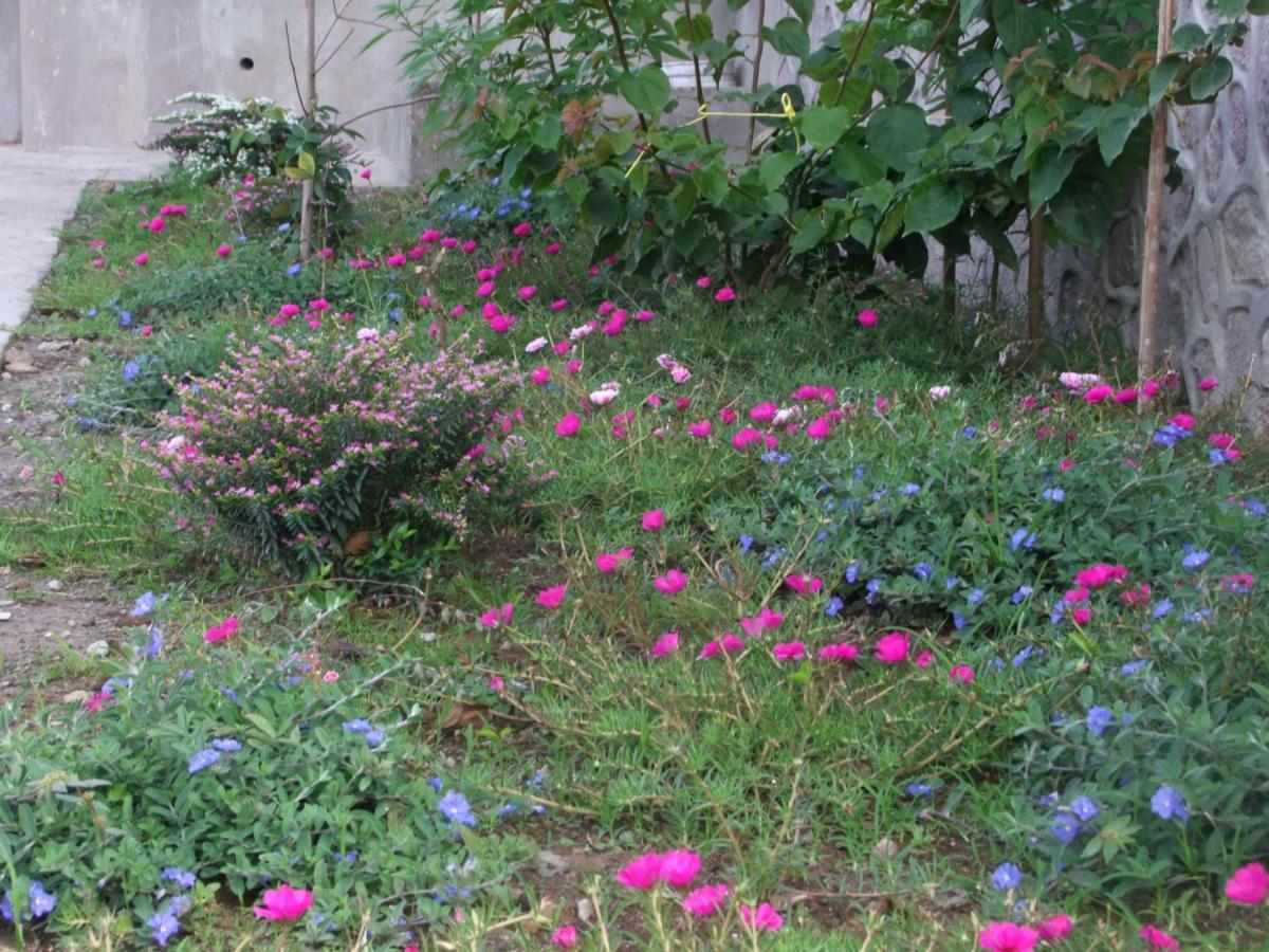 הוילה Soufrière Belle Etoile - Celestial Hideaway מראה חיצוני תמונה